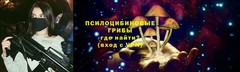 Псилоцибиновые грибы мицелий  Емва 